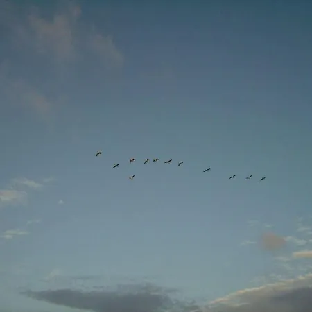Hamburger Hallig In Haus Halligblick בית נופש Dagebüll