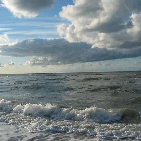 Hamburger Hallig In Haus Halligblick