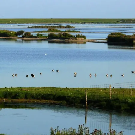 Hamburger Hallig In Haus Halligblick * Dagebuell