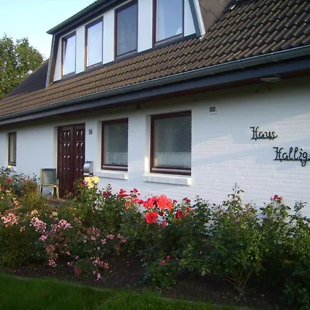 Hamburger Hallig In Haus Halligblick