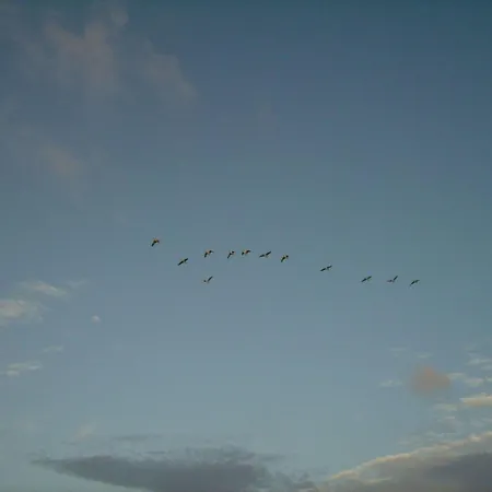 Hamburger Hallig In Haus Halligblick