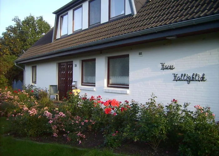 Hamburger Hallig In Haus Halligblick