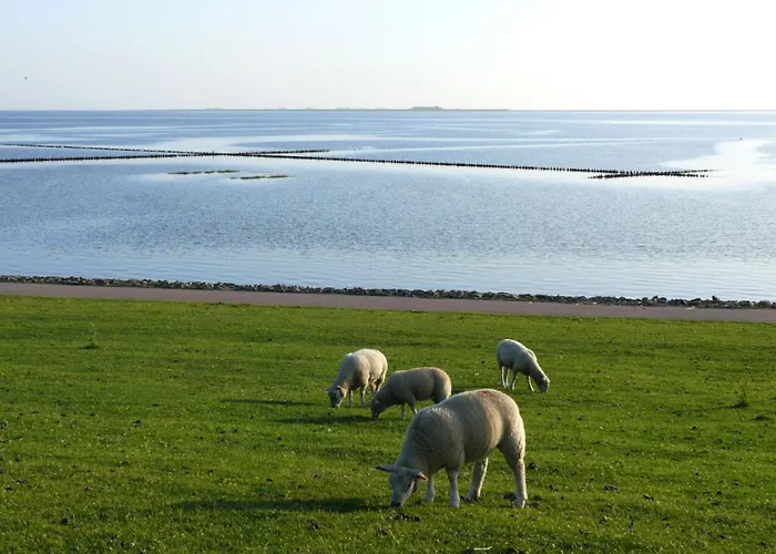 Hamburger Hallig In Haus Halligblick Vakantiehuis